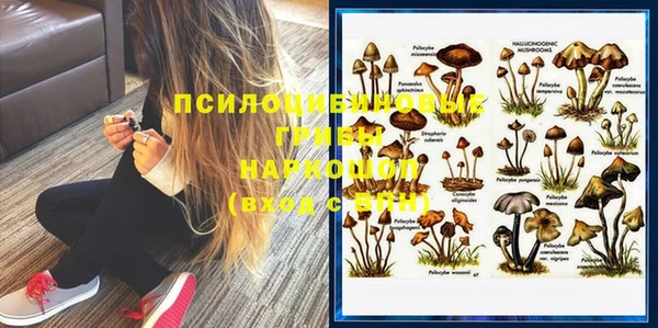 каннабис Покачи