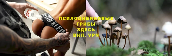 каннабис Покачи