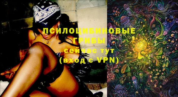 ALPHA PVP Покровск