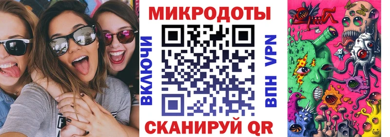 KRAKEN   Анадырь  Псилоцибиновые грибы Psilocybe 